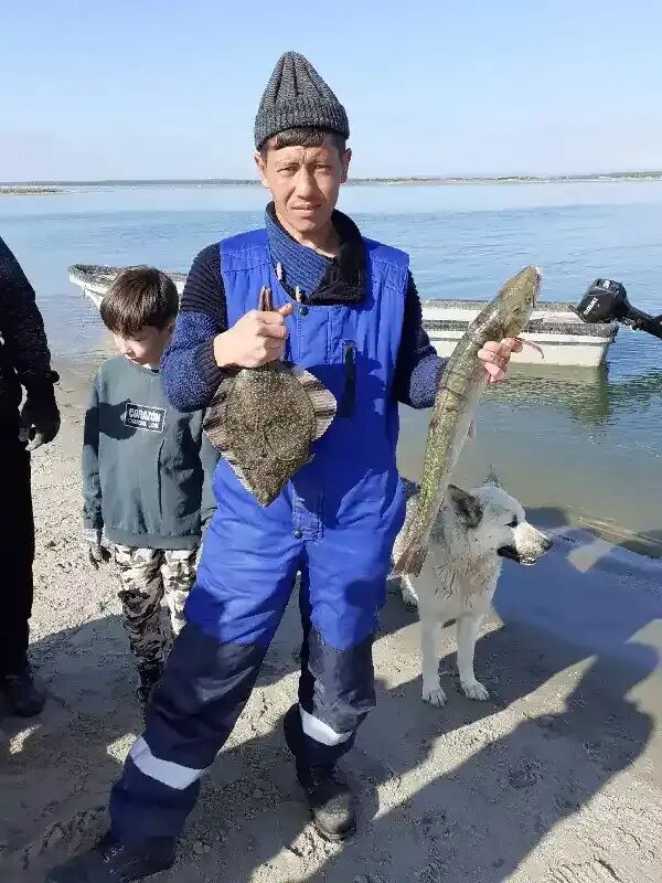  31285057  , 35 ,    -