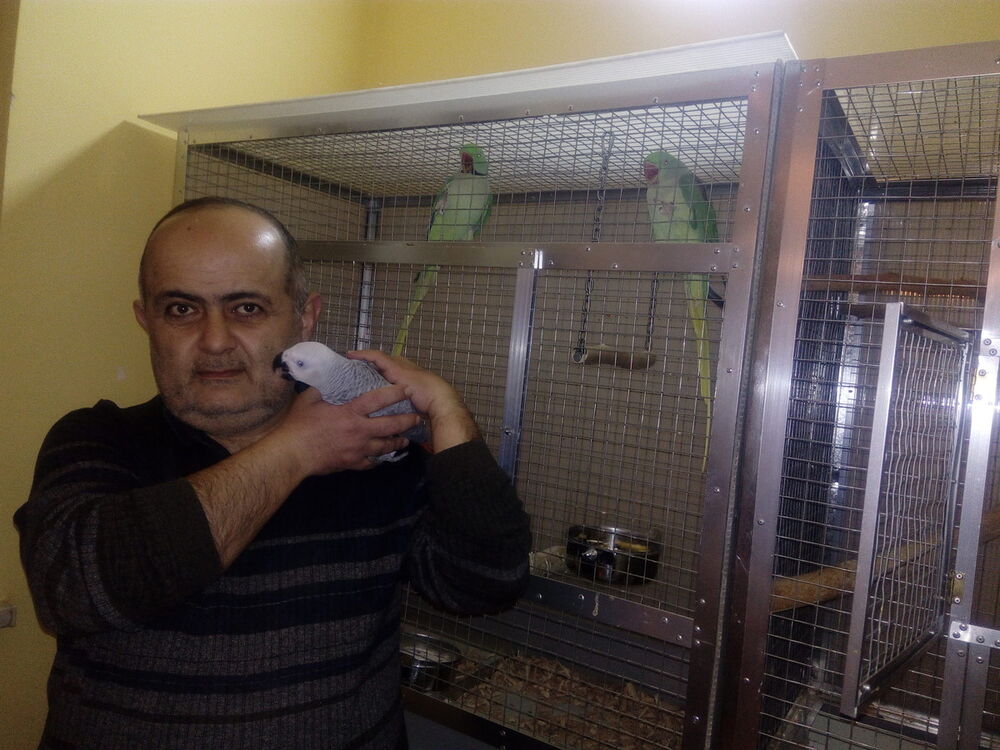  ,   Armen 68, 57 ,   