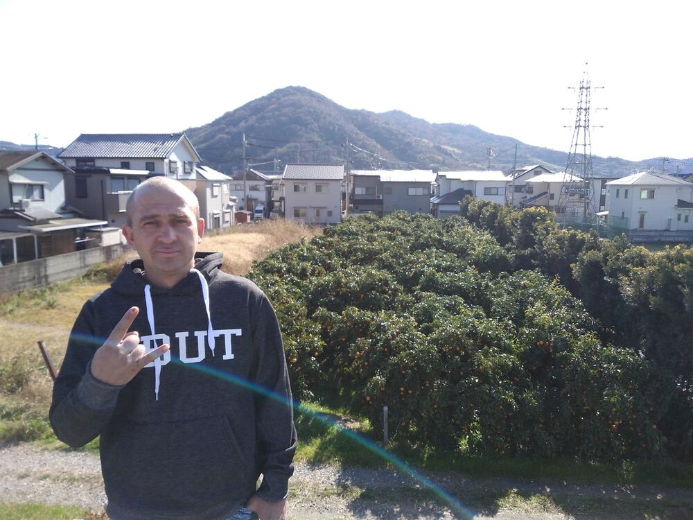 ,   , 41 ,   