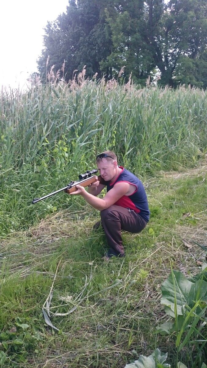  16862737  , 41 ,    