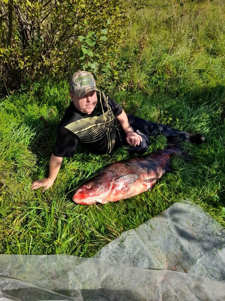 ���� 55565877 ������� ������, 46 ���, ���� ���������� � �����