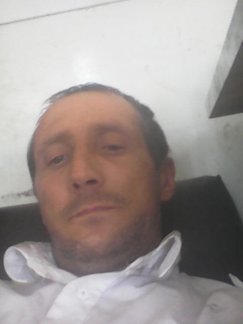 17210827  , 48 ,    
