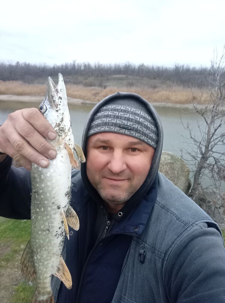 ���������� ��������, ���� ������� ������, 46 ���, ������������ ��� ������, ����� � ���������, c�������� ���������