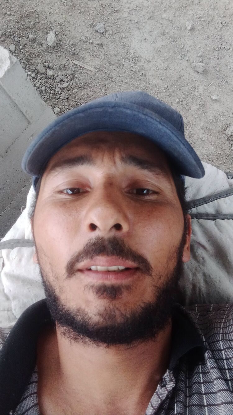  43816447  Zarif, 31 ,    