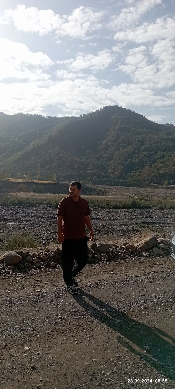  48393867    , 43 ,    