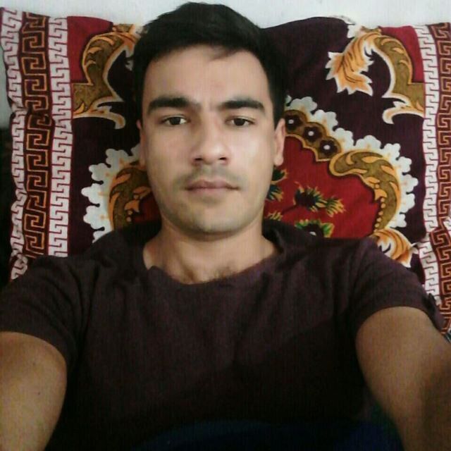  37636667  , 33 ,    