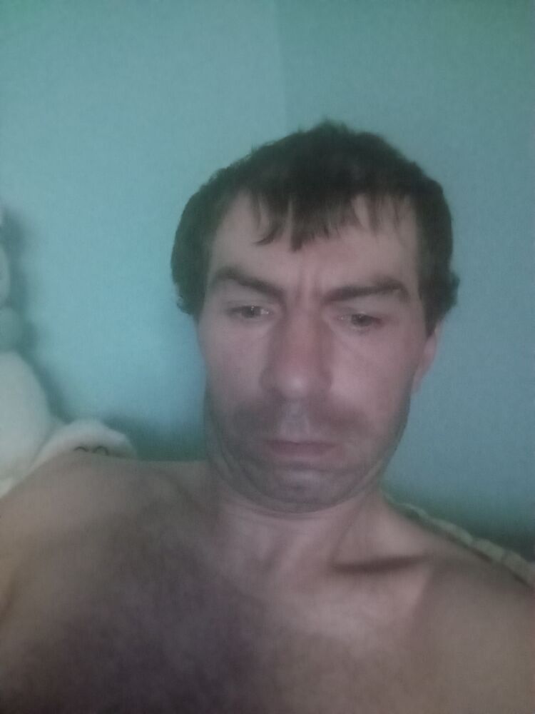  50569327  , 36 ,    