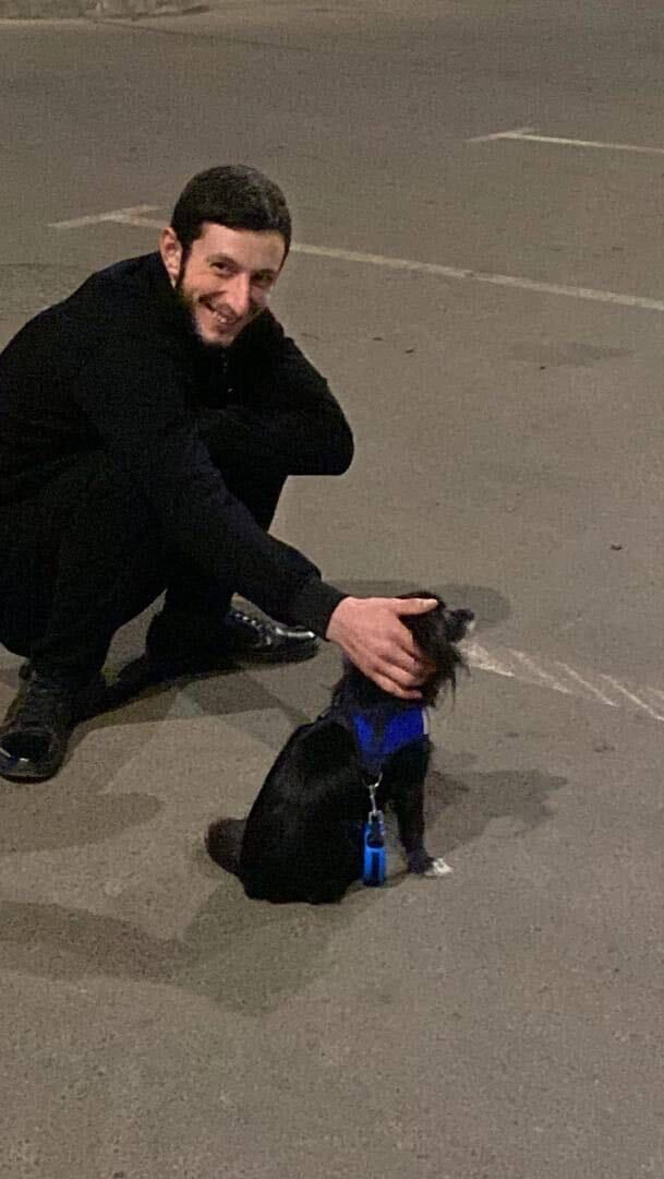  deleted,   Sargis, 25 ,   ,   