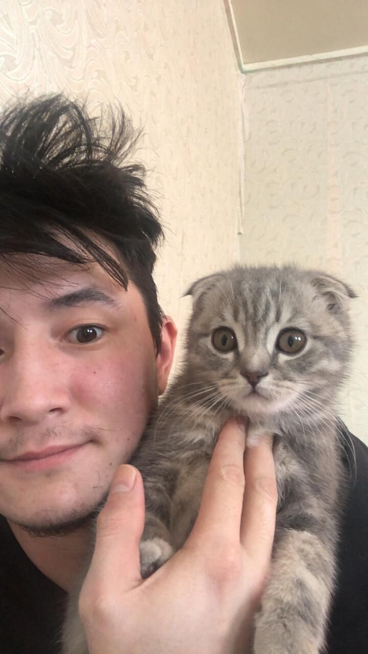 ���� 37452287 ������� ����, 26 ���, ���� ���������� � �����