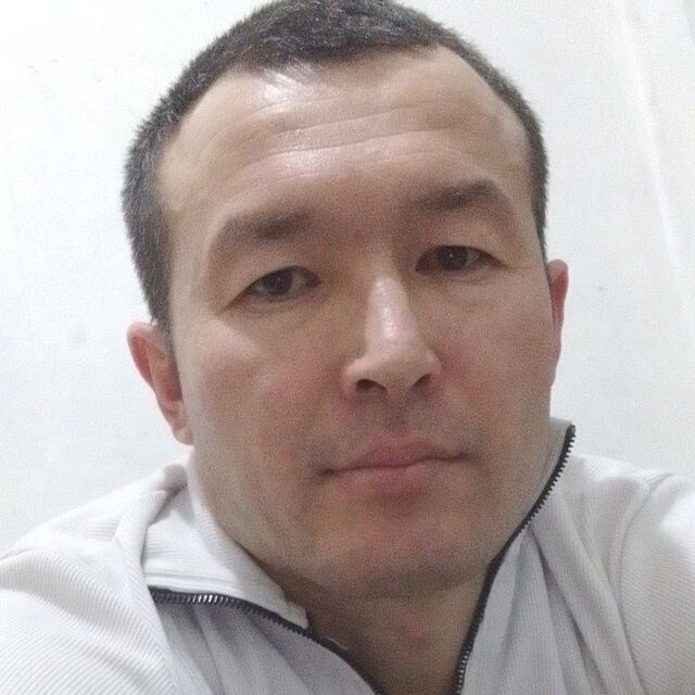 ���� 56088867 ������� ������, 38 ���, ���� ���������� � ���������