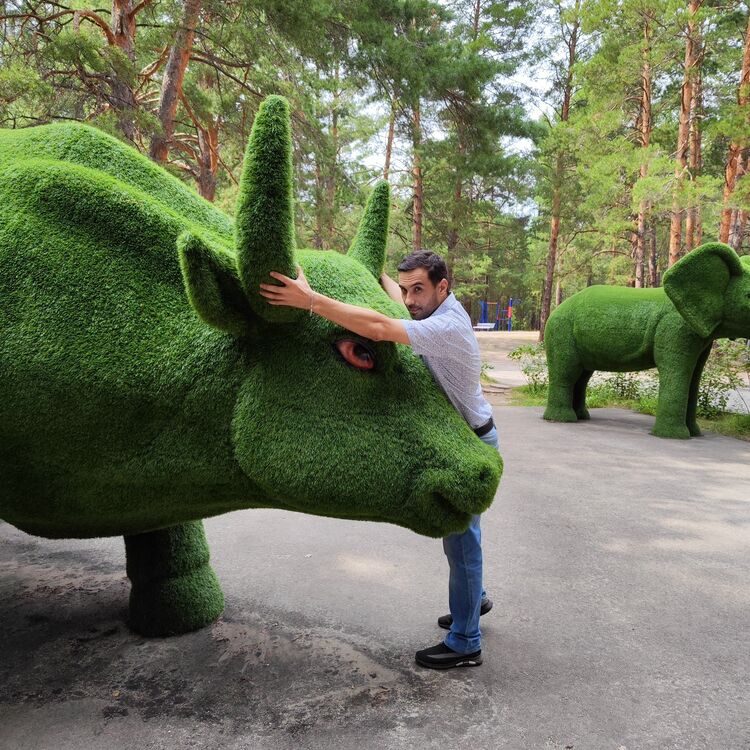 ���������� ��������, ���� ������� �����, 41 ���, ������������ ��� ������, ����� � ���������