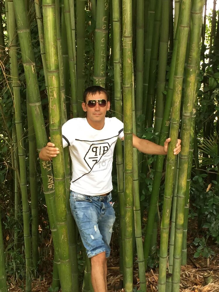 ���������� ������, ���� ������� ������, 38 ���, ������������ ��� ������, ����� � ���������, c�������� ���������, ���������