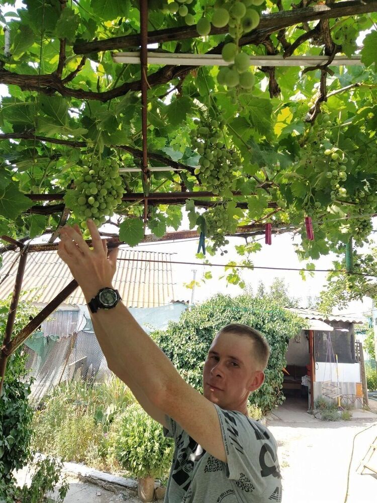 ���� 28608997 ������� �������, 36 ���, ���� ���������� � ����-����������