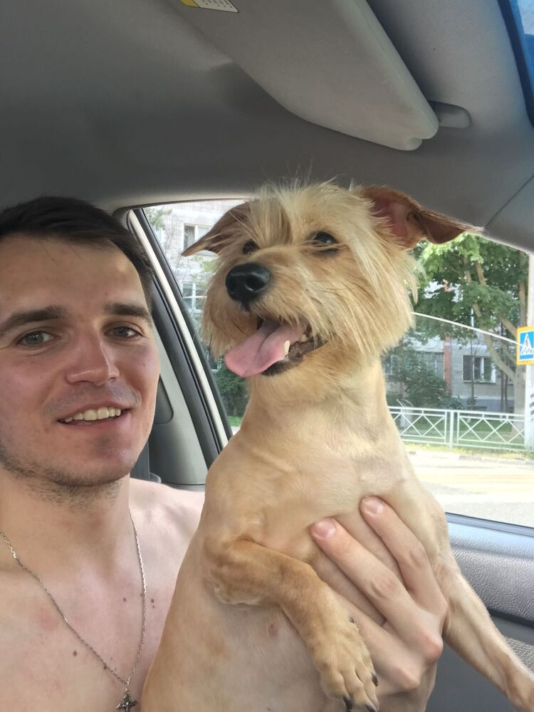 ���������� ������, ���� ������� ������, 33 ����, ������������ ��� ������, ����� � ���������, c�������� ���������