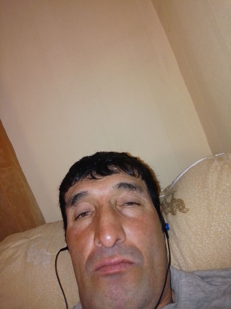  43024867  , 41 ,     