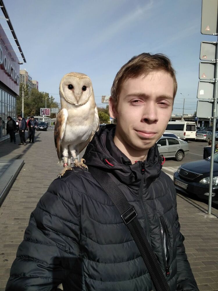 ���� 25175267 ������� ����, 29 ���, ���� ���������� � ���������������