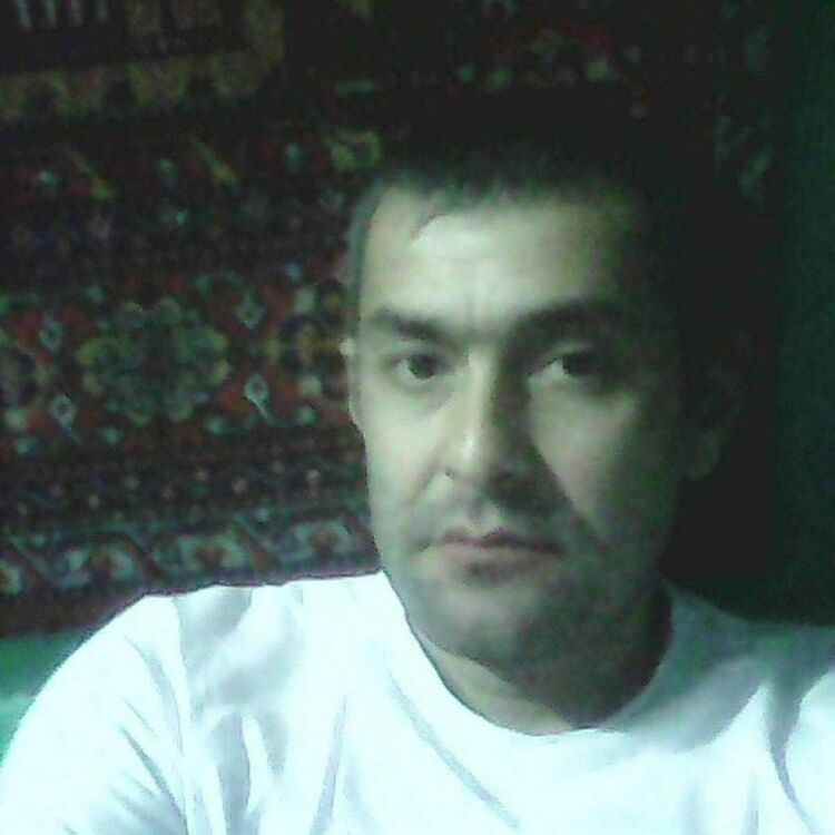  33508737  , 46 ,    