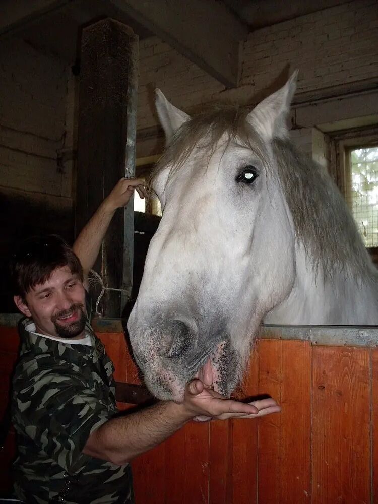 ���������� �����-���������, ���� ������� ���������, 43 ����, ������������ ��� ������, ����� � ���������