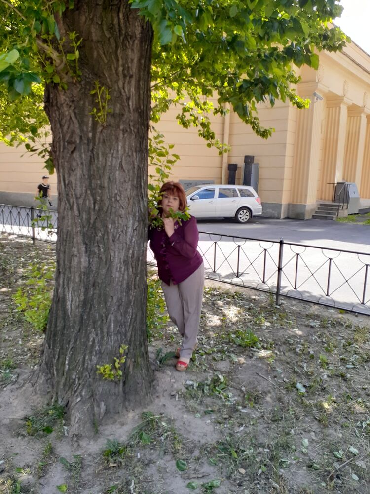 ���� 25594467 ������� ��������, 55 ���, ���� ���������� � �����-����������