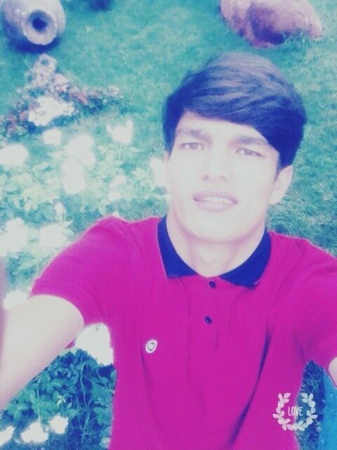  ,   Bogdan, 31 ,   ,   , c , 