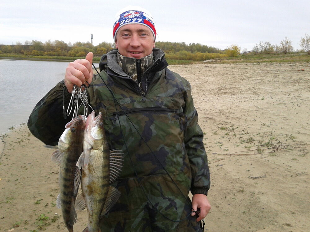 ���������� ������, ���� ������� ����, 47 ���, ������������ ��� ����� � ���������, c�������� ���������