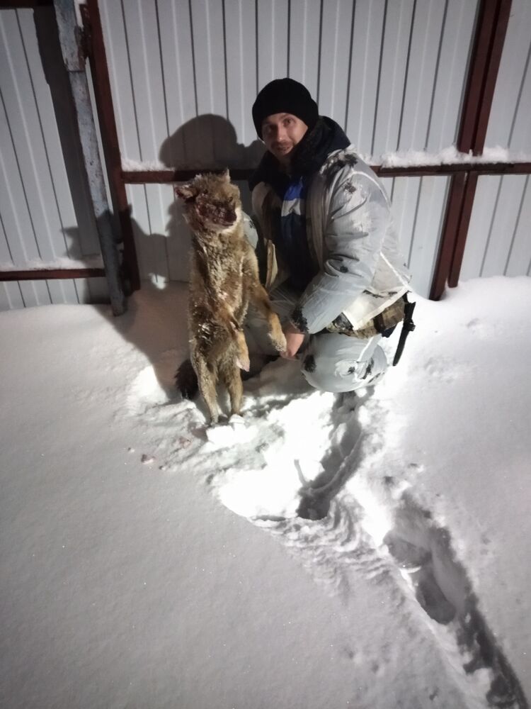 ���� 49554917 ������� ������, 35 ���, ���� ���������� � ����� �����