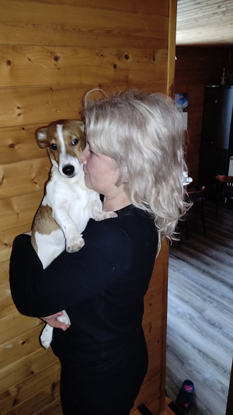 ���� 33133357 ������� ����, 54 ����, ���� ���������� � ������