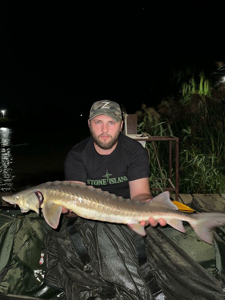 ���� 38041877 ������� ���������, 29 ���, ���� ���������� � ����������