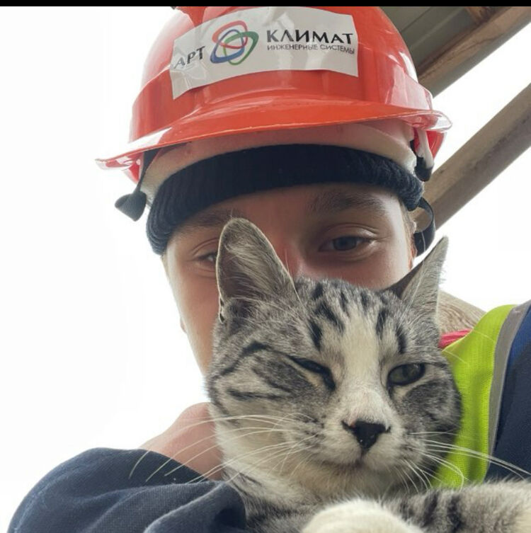 ���� 55418557 ����� �����, 18 ���, ���� ���������� � ����������