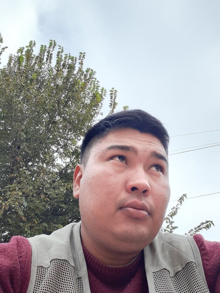 ���� 17674647 ������� �������, 36 ���, ���� ���������� � �������