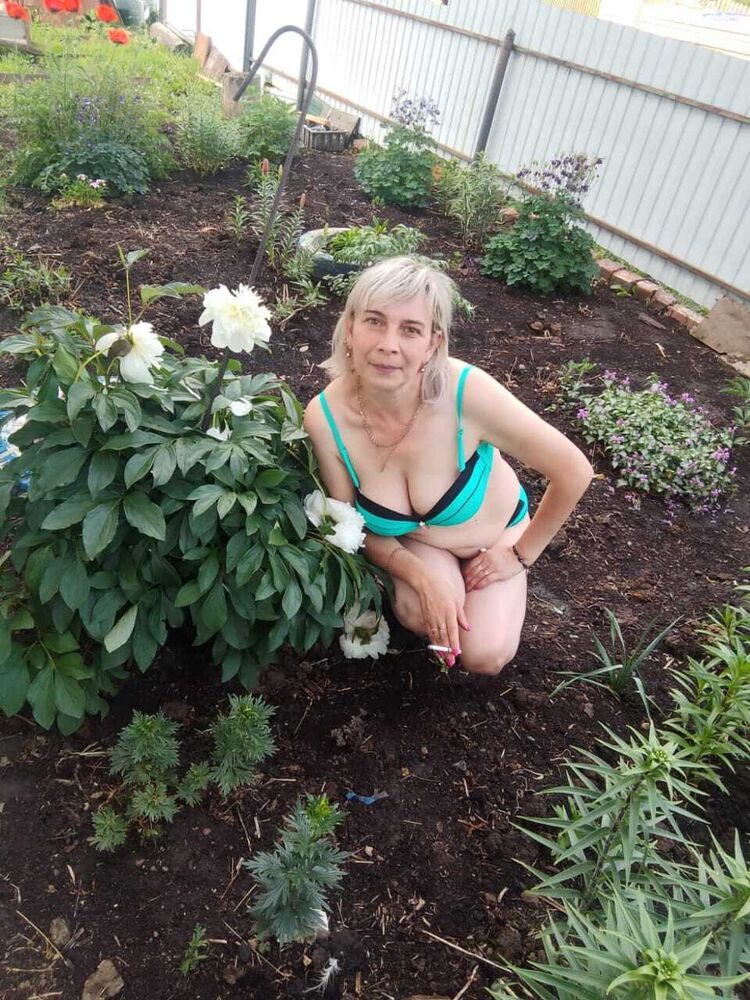 ���� 53453737 ������� �������, 50 ���, ���� ���������� � ��������