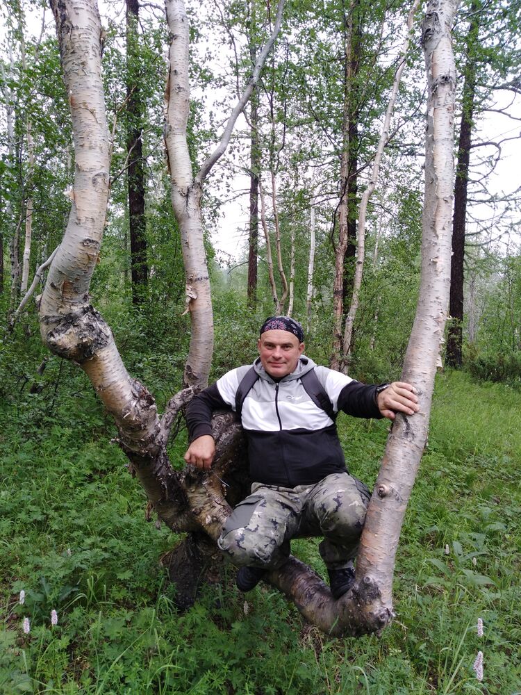 ���� 52658097 ������� ����, 43 ����, ���� ���������� � ���������