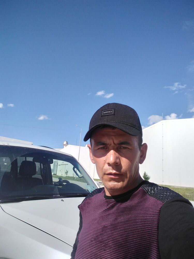 ���� 31103497 ������� �����, 38 ���, ���� ���������� � �����-����������