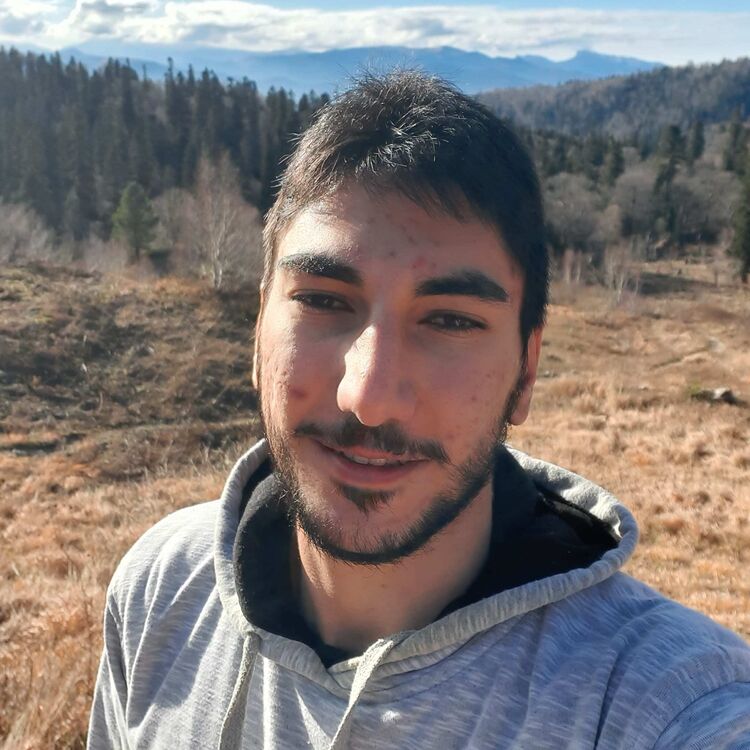 ���� 29631447 ����� ������, 24 ����, ���� ���������� � �������