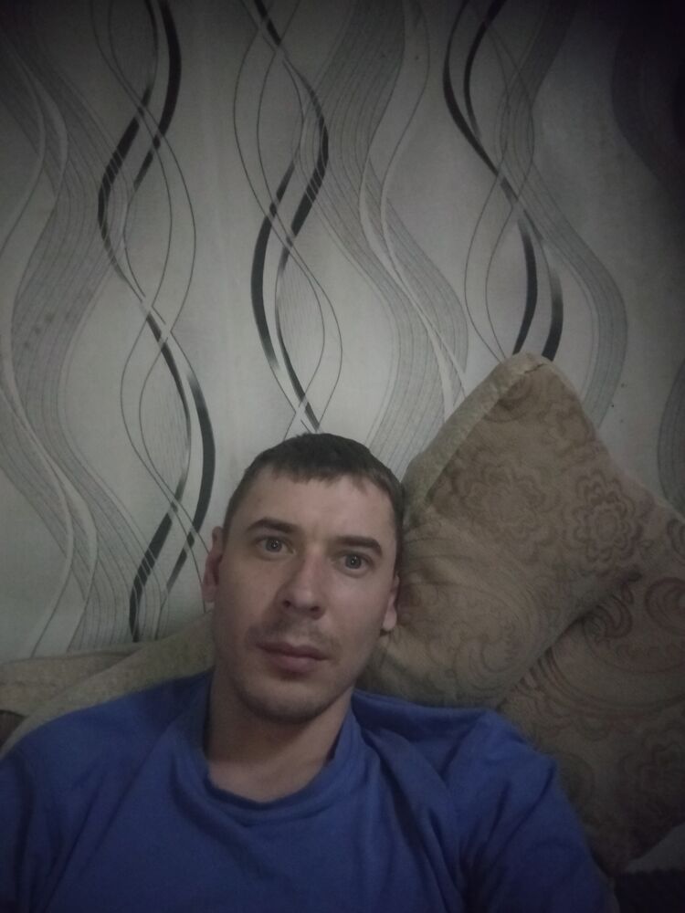  41911377  , 29 ,    