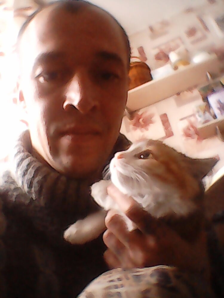  ,   , 41 ,   