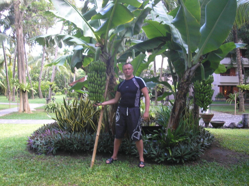 ���� 9352417 ������� �����, 51 ���, ���� ���������� � ����