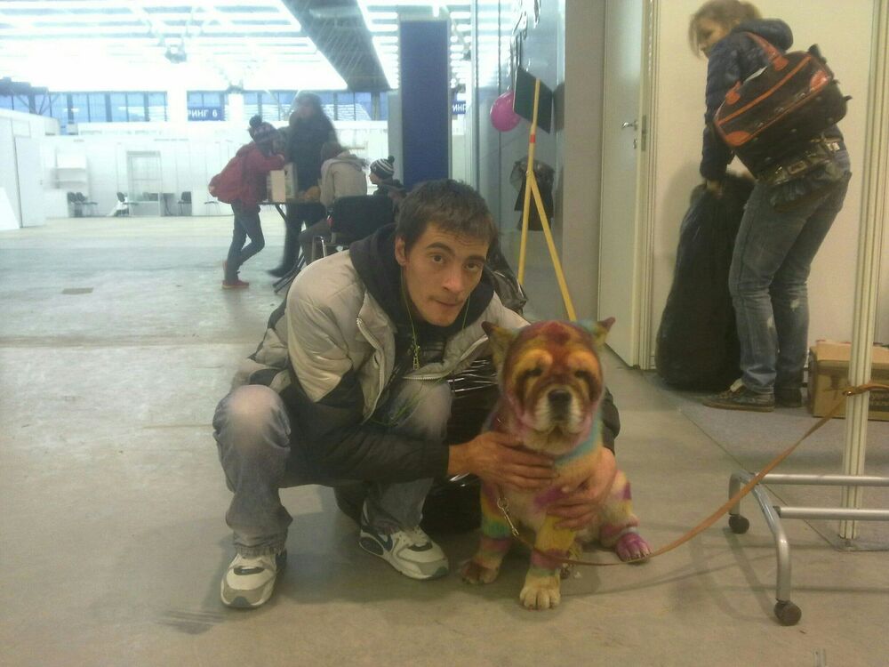 ���� 55980297 ������� ����, 38 ���, ���� ���������� � �����