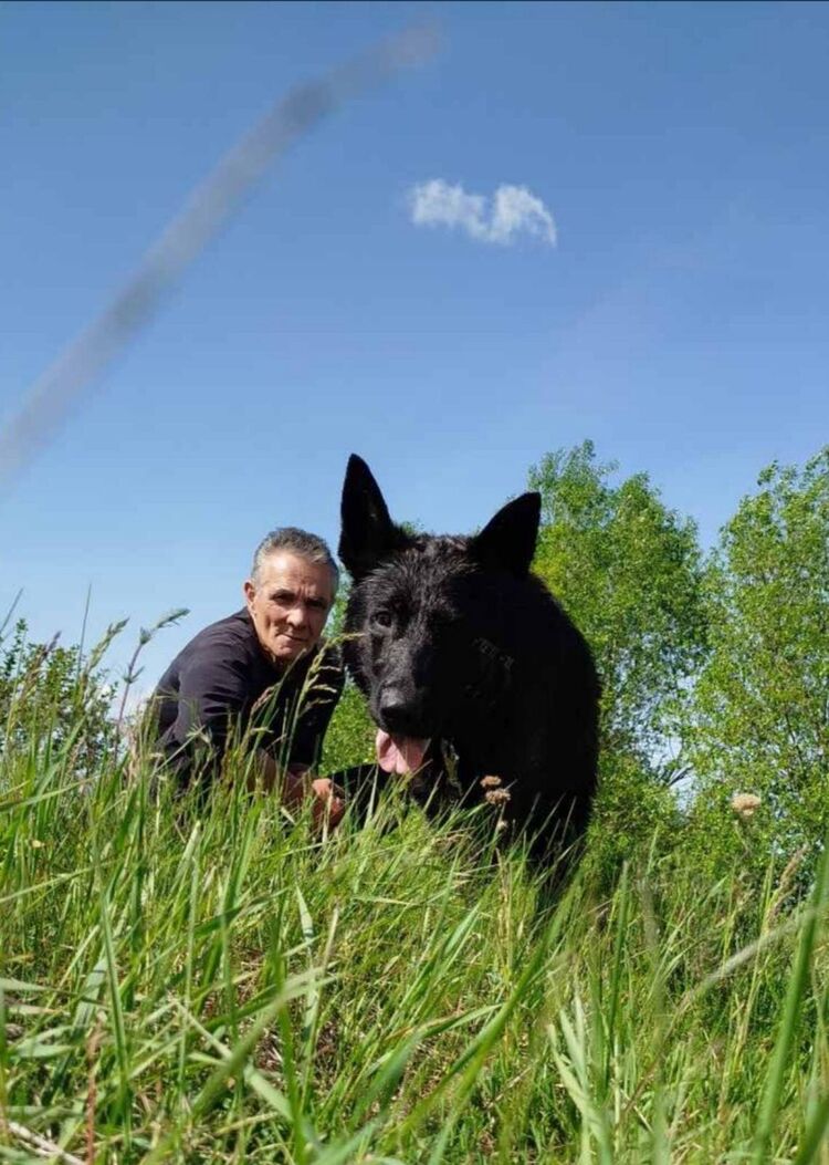 ���� 55069317 ������� ����, 60 ���, ���� ���������� � ���������