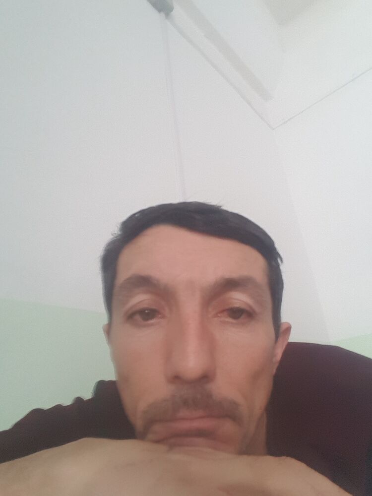  24934847  , 43 ,    