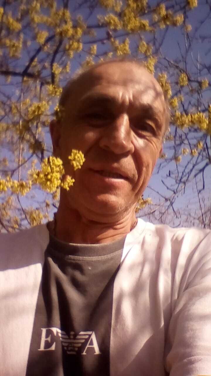  40928477  , 63 ,    