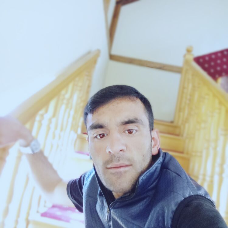  45744987  Mirzeyev, 28 ,    