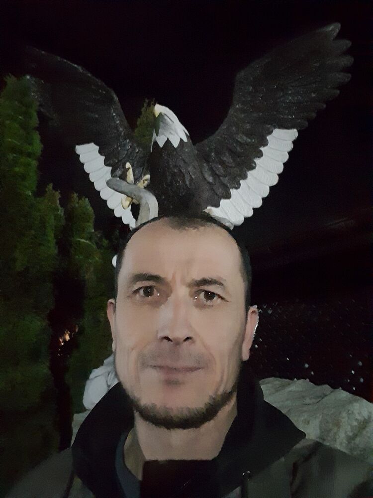  35501187  , 42 ,    