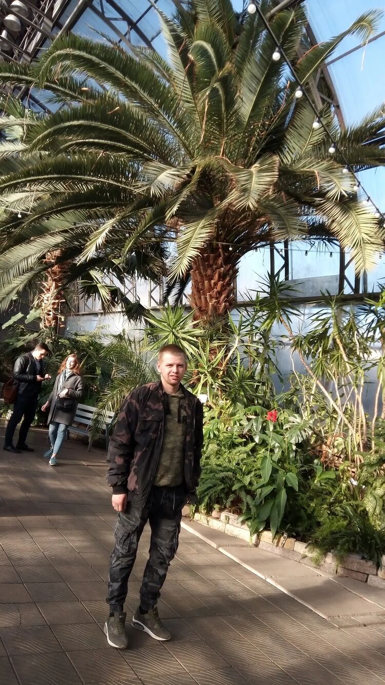  29846857  , 28 ,    -