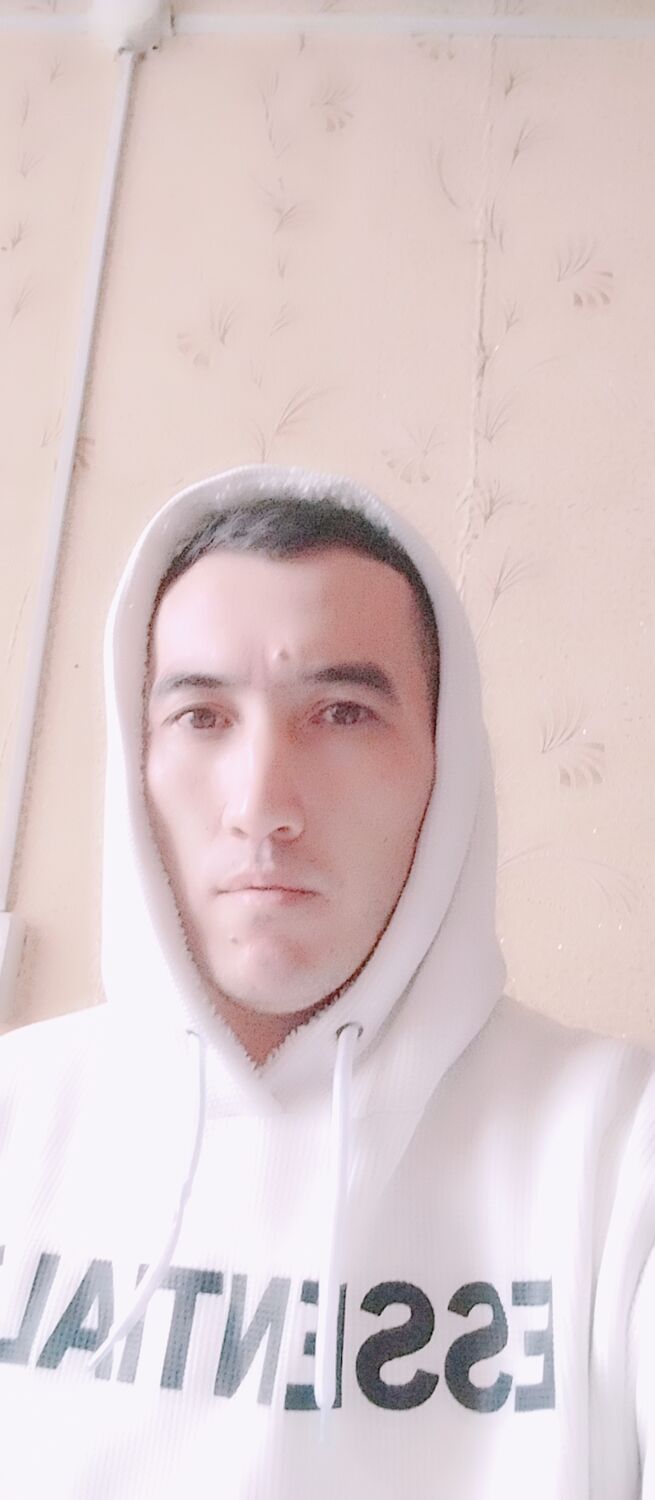  43036387  , 31 ,     