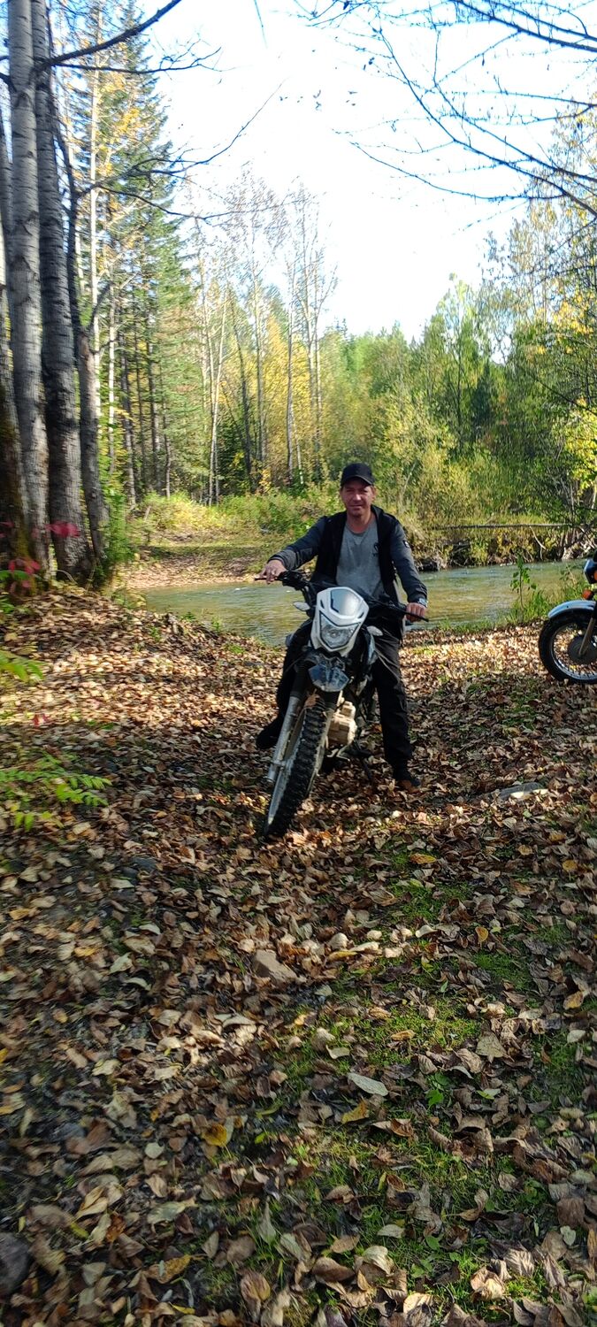 ���� 54252987 ������� ����, 41 ���, ���� ���������� � ������