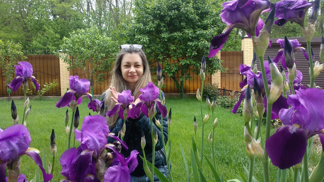  --,   , 37 ,   ,   , c 