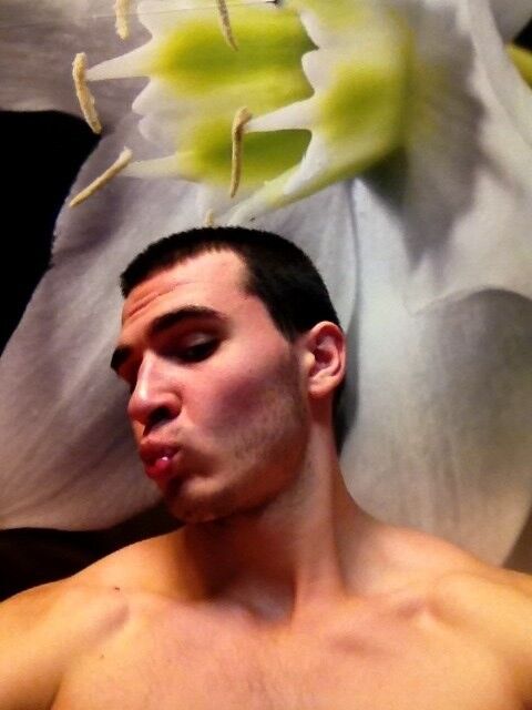  6281627  , 34 ,    -