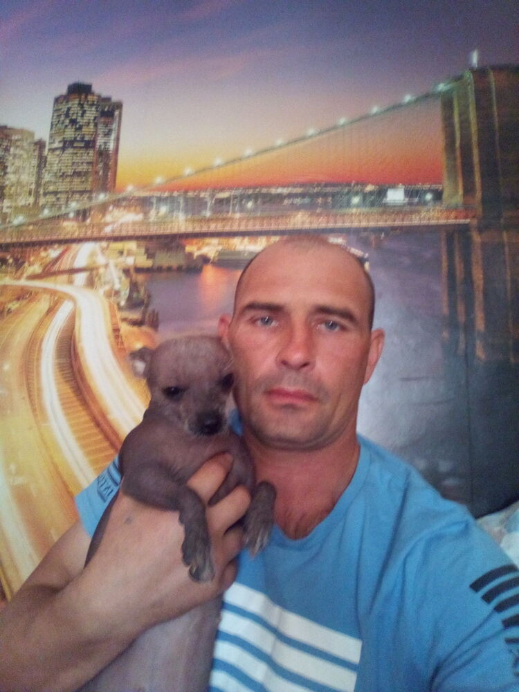 ���� 17221067 ������� �������, 46 ���, ���� ���������� � �����-����������