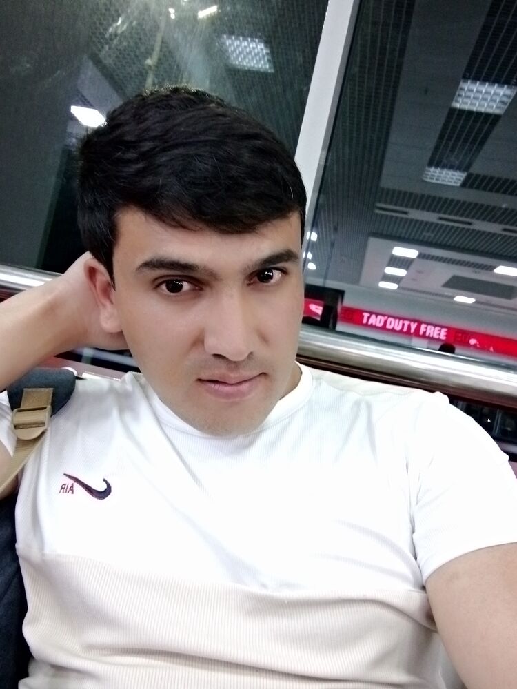  33787157  , 28 ,    -